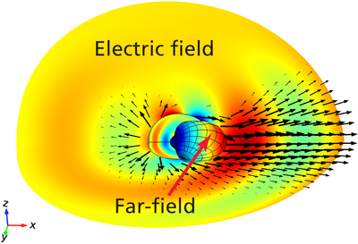 Scattering of Electromagnetic Waves by Particles