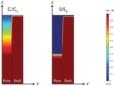 Simulating the Release Mechanism in Drug-Eluting Stents