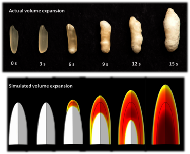 Engineering Perfect Puffed Snacks
