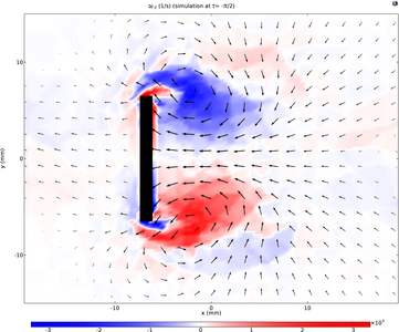 It’s a Bird, It’s a Plane: Flow Patterns around an Oscillating ...