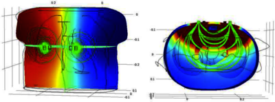 Reliable Structures and Wearable Systems Call for Multiphysics Simulation