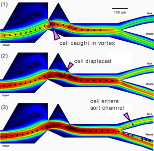 Simulation Advances the Design of a Microfluidic Therapeutic Cell Sorter