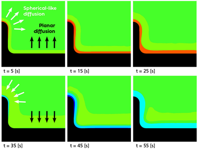 Keeping Dendrites at Bay with Numerical Simulation