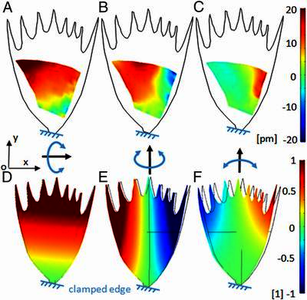 Investigating Vibroacoustic Properties in Moth Wings for Acoustic Camouflage
